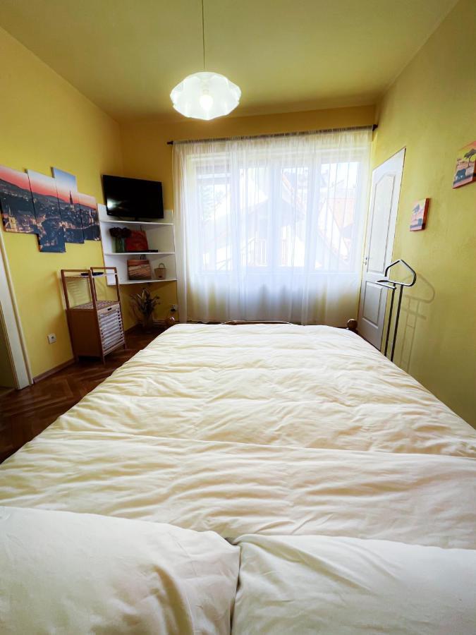 Noni'S Old Town Apartment 시비우 외부 사진